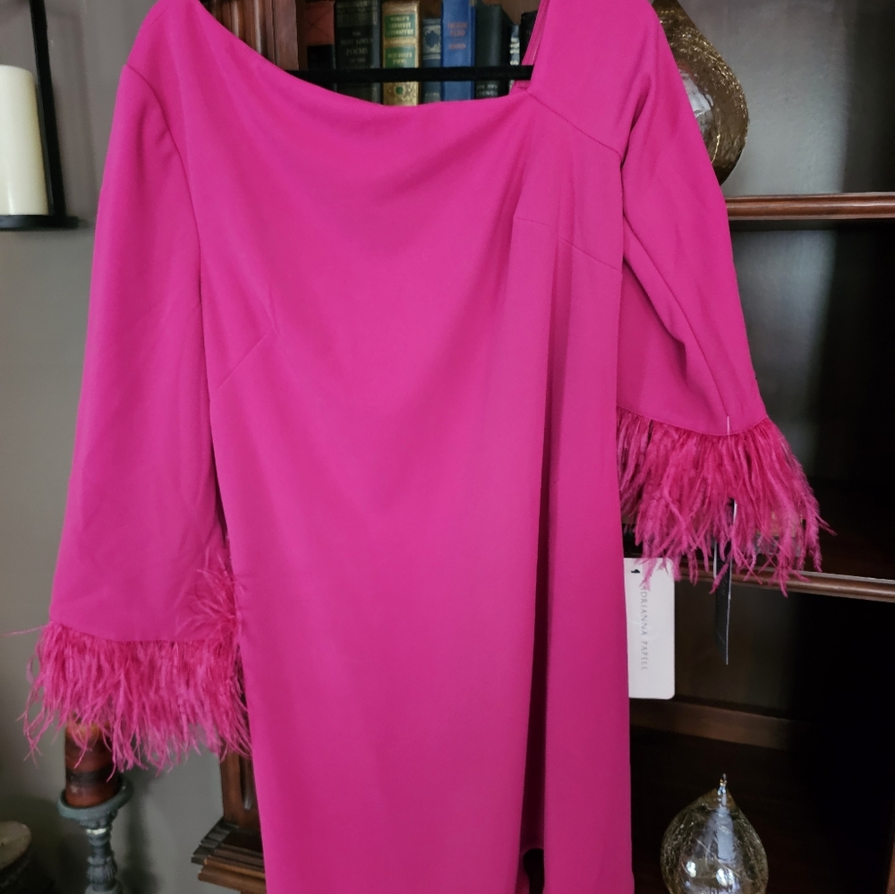 Adrianna Papell Pink Feathered Sleeve Dress
